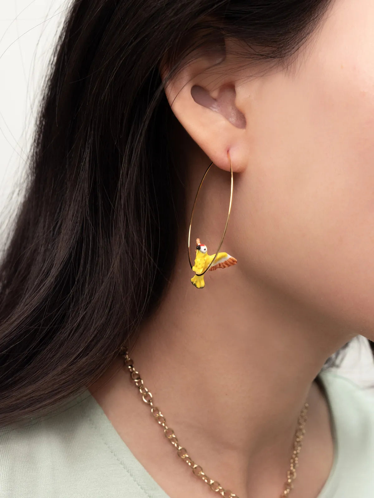 Grandes créoles oiseau Pic Flamboyant