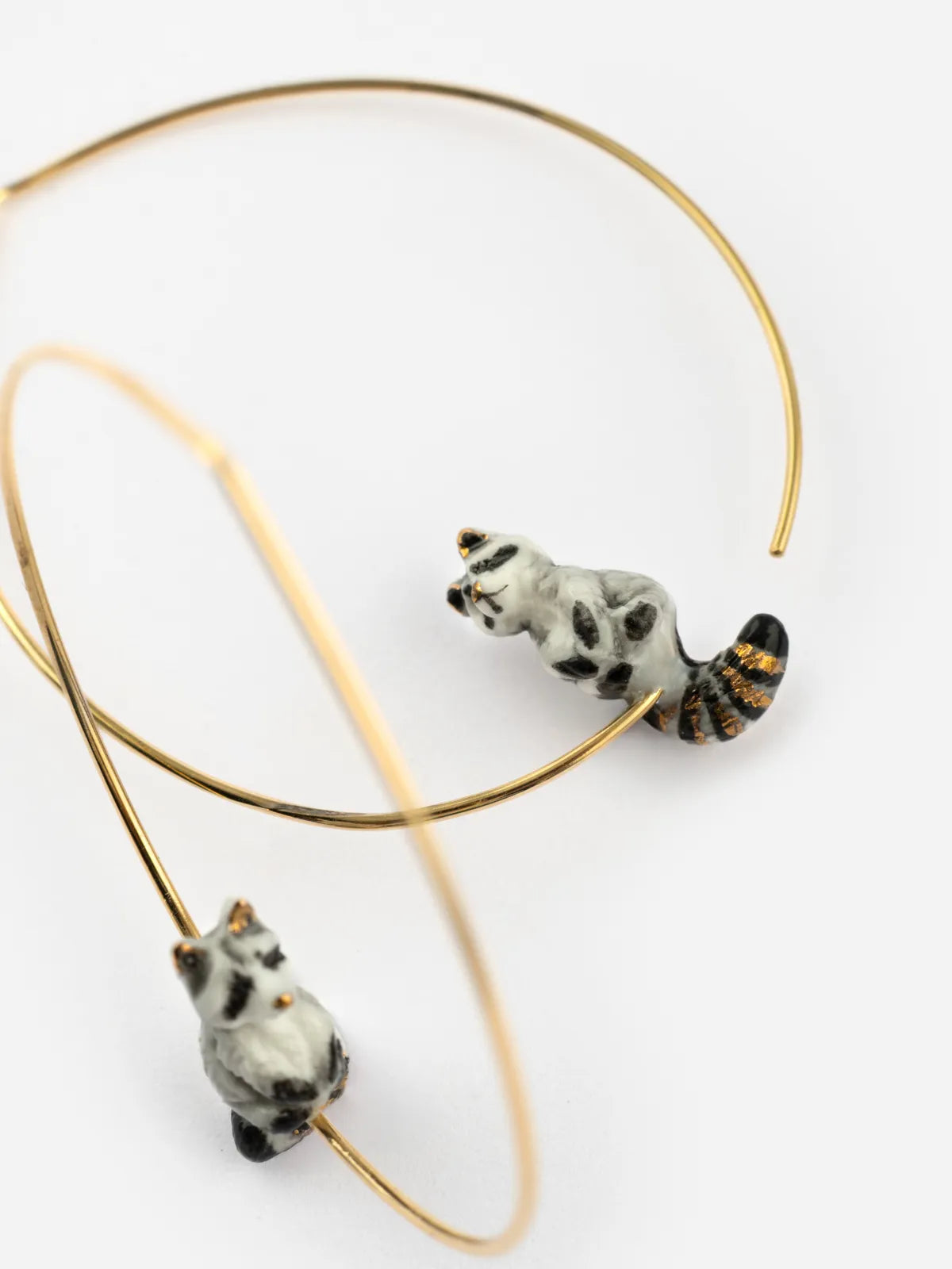 Créoles raton laveur