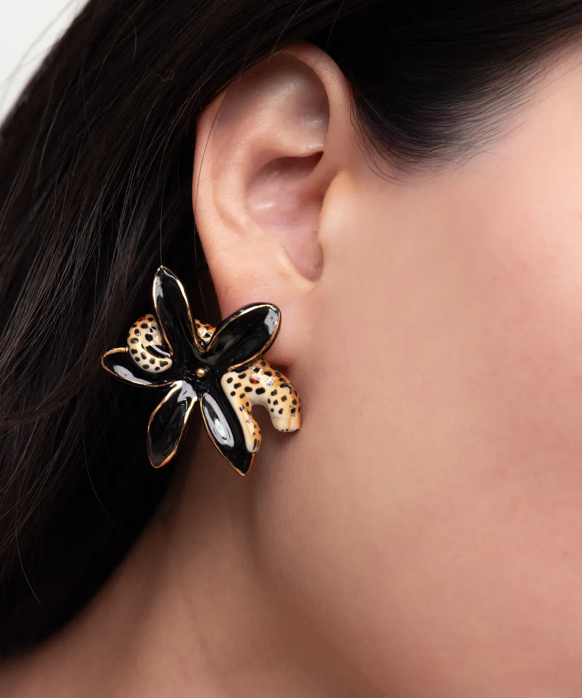 Puces d'oreilles léopard et fleur d'Erine