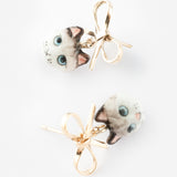 Ragdoll cat fleas and knot in floppy ears