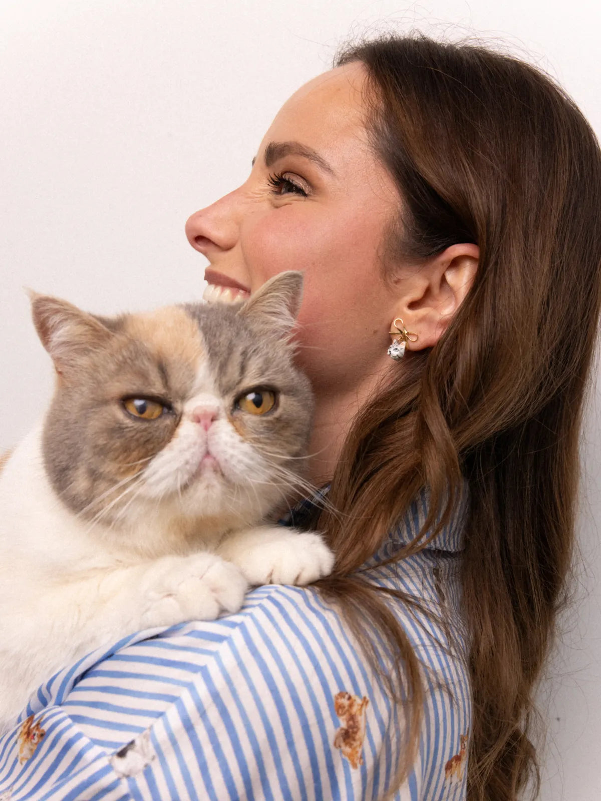 Puces d'oreilles pendantes chat tabby et nœud