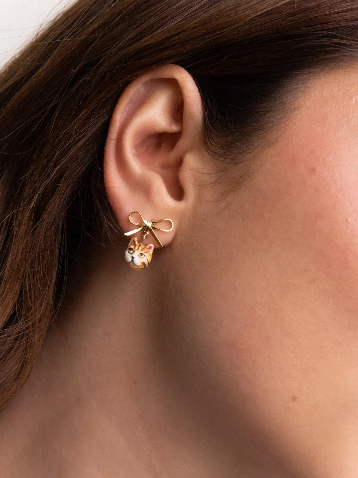 Puces d'oreilles pendantes chat Bengal et nœud