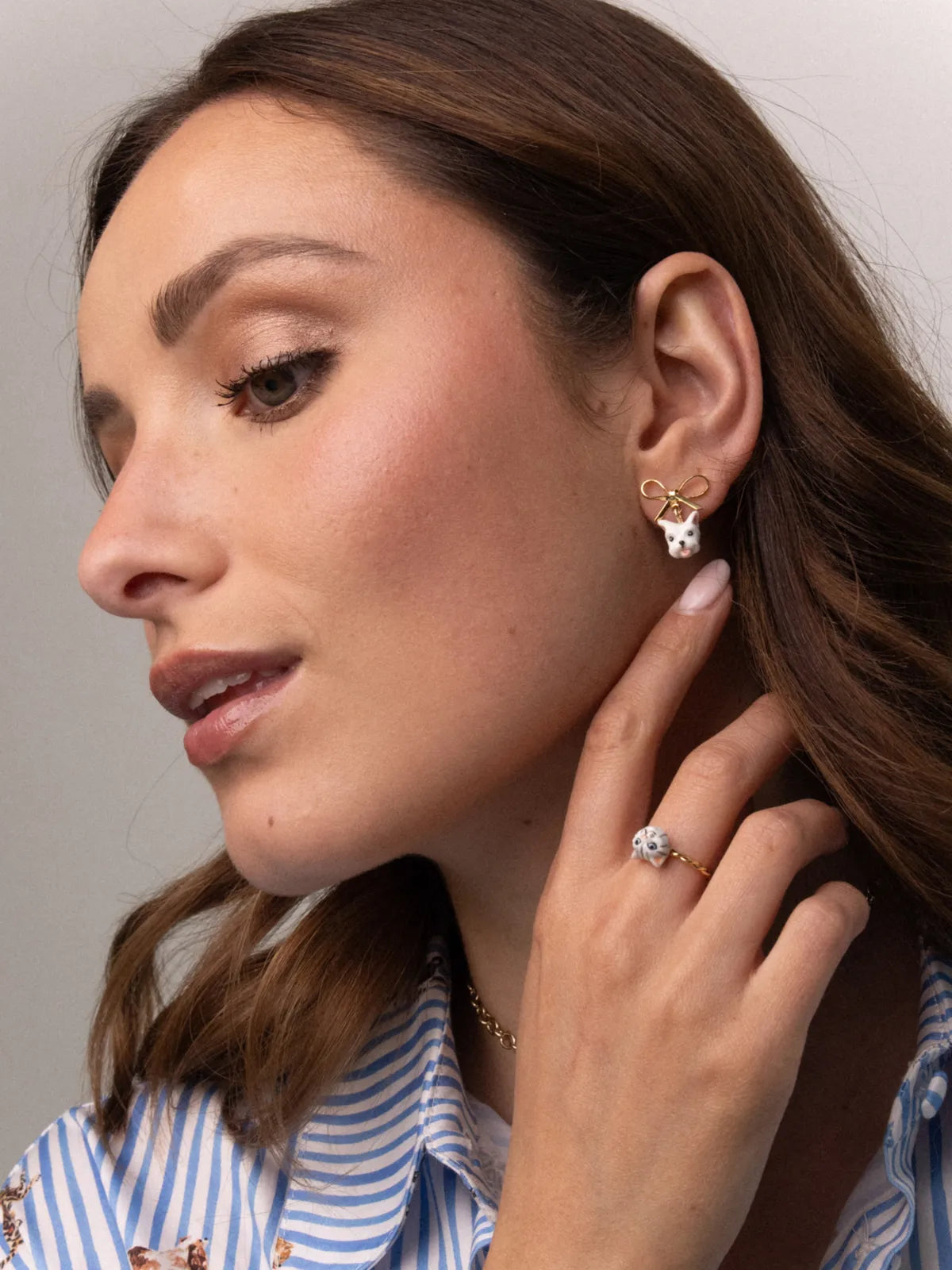 Puces d'oreilles pendantes chien Coton de Tulear et nœud