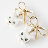 Cotton de Tulear dog flea and knot