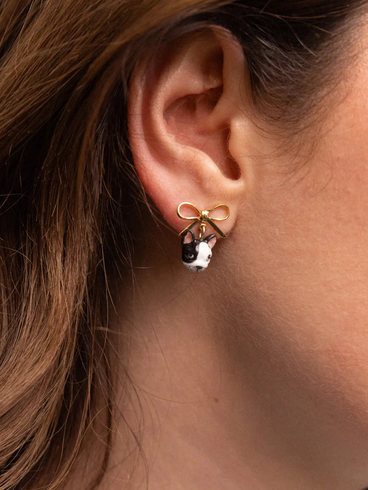 Puces d'oreilles pendantes Bulldog Français et nœud