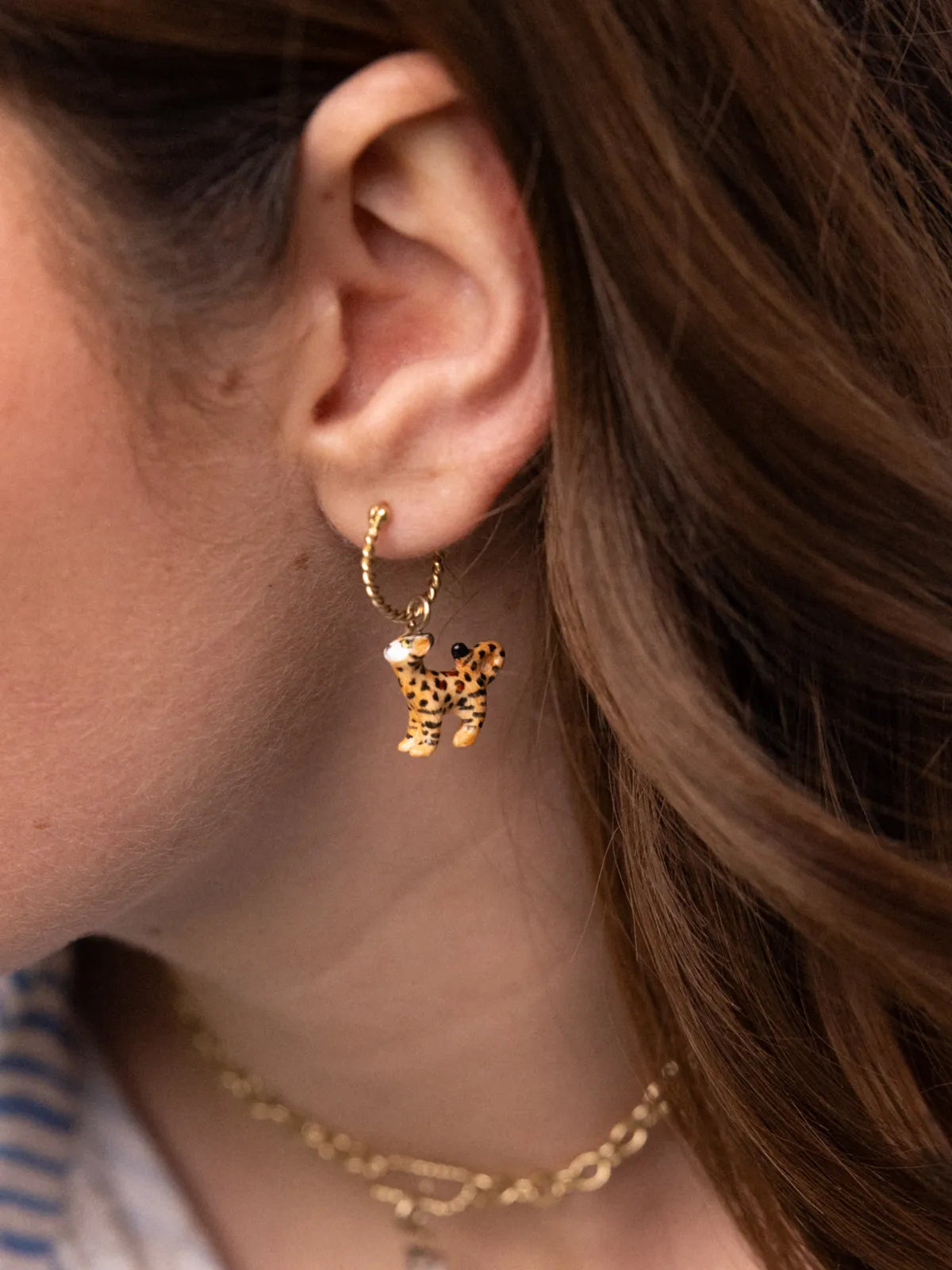 Mini créole chat Bengal - Vendue à l'unité