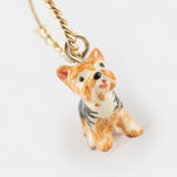 Mini Yorkshire dog creole - Sold individually