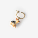 Mini Yorkshire dog creole - Sold individually