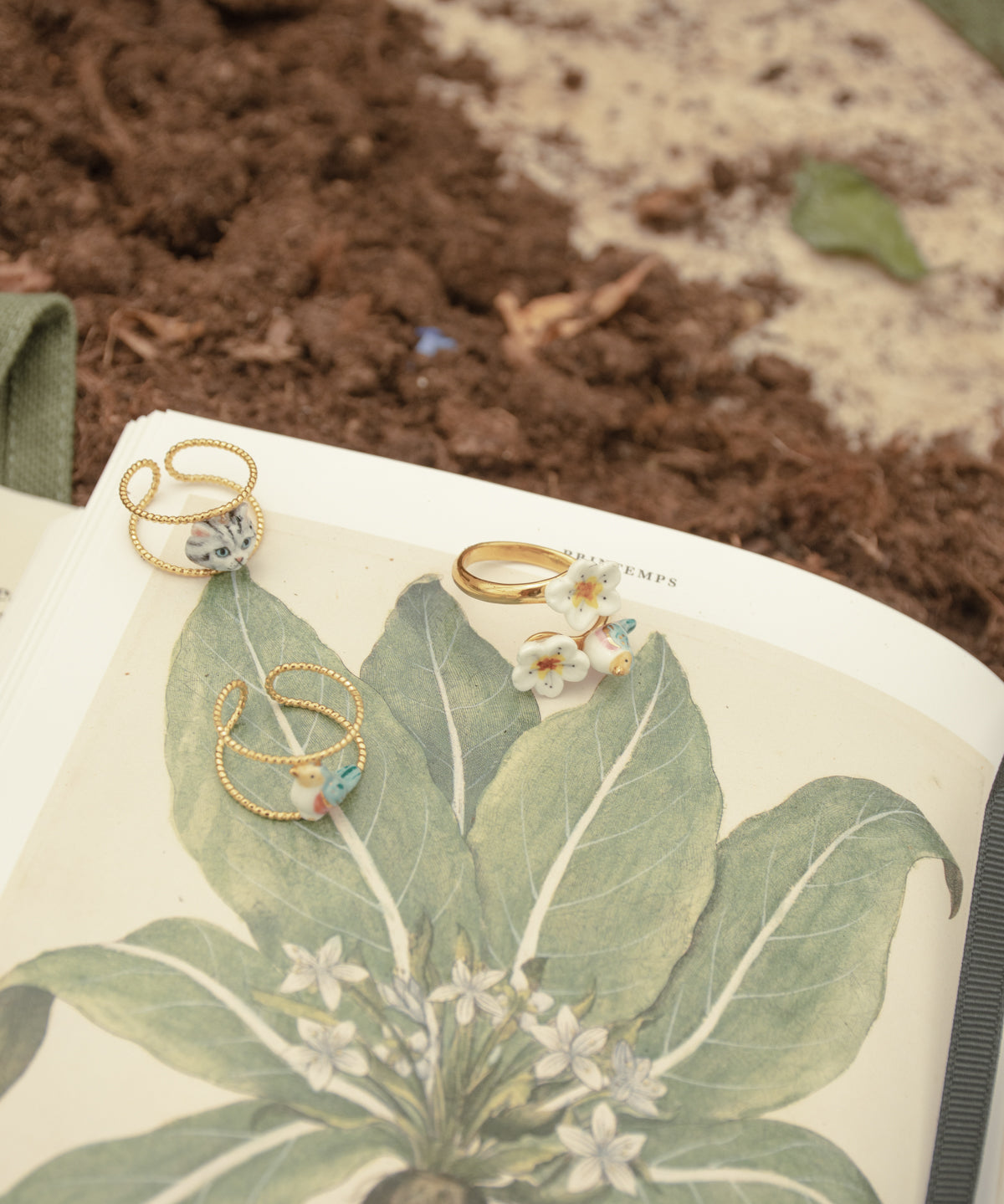 Bague double anneau oiseau bleu