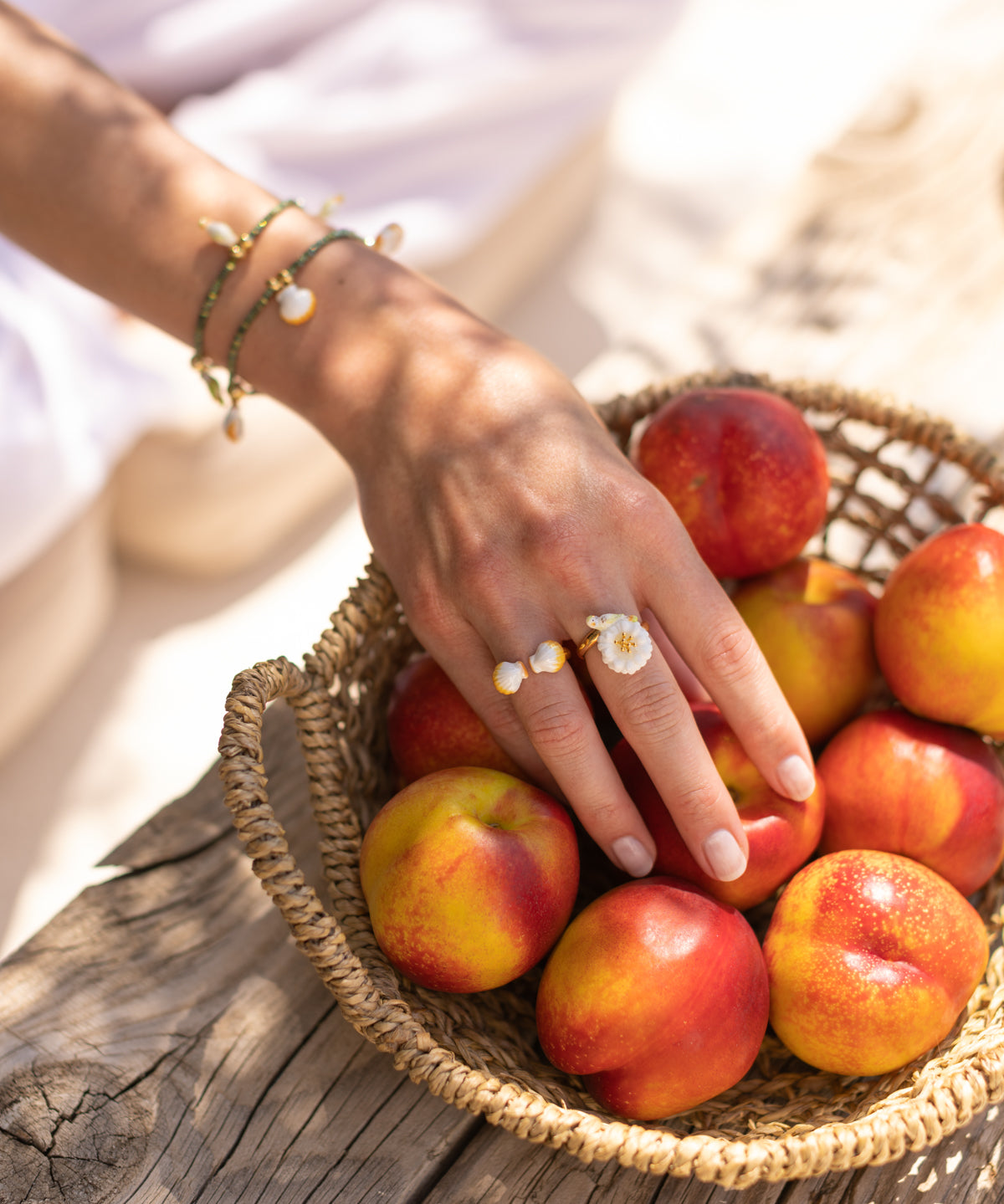 Bague perruche sur pissenlit blanc