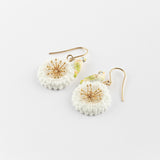Boucles d'oreilles perruche sur pissenlit blanc