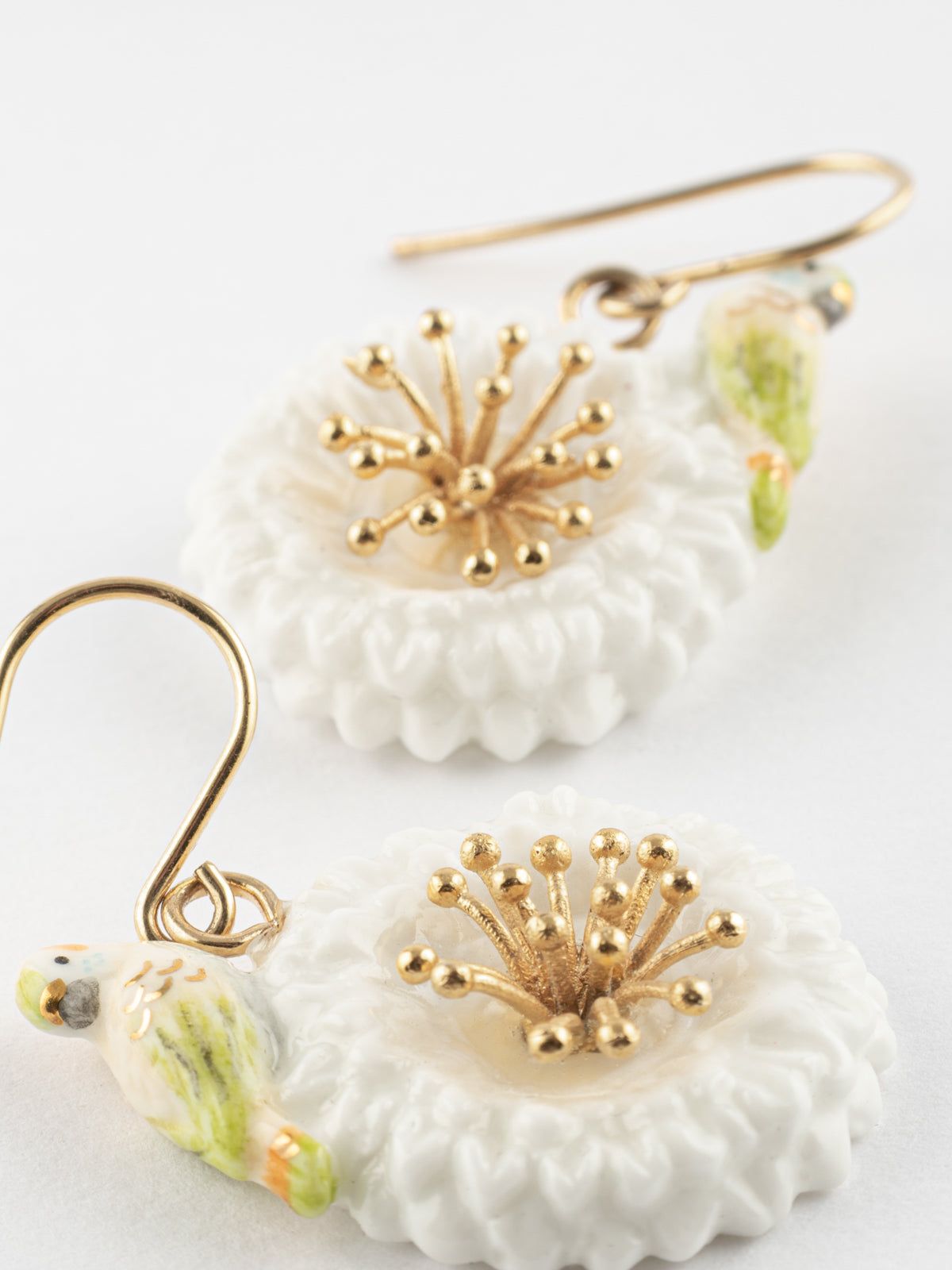 Boucles d'oreilles perruche sur pissenlit blanc