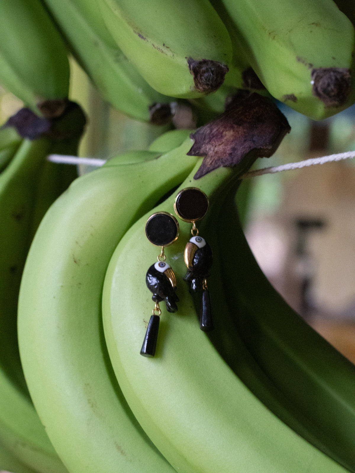 Boucles d'oreilles toucan