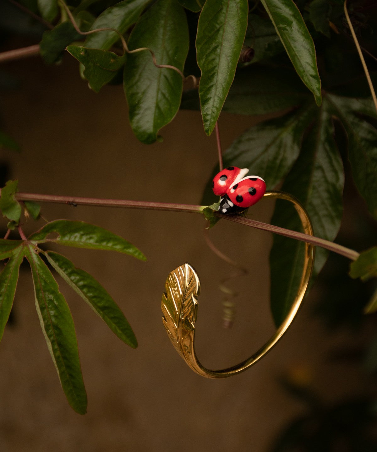 Bracelet en laiton doré coccinelle et feuille