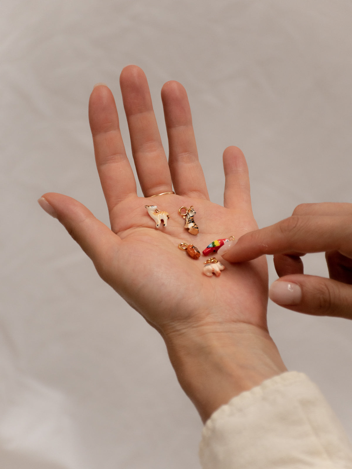 Charm's ara Juan - Nach x La tanière