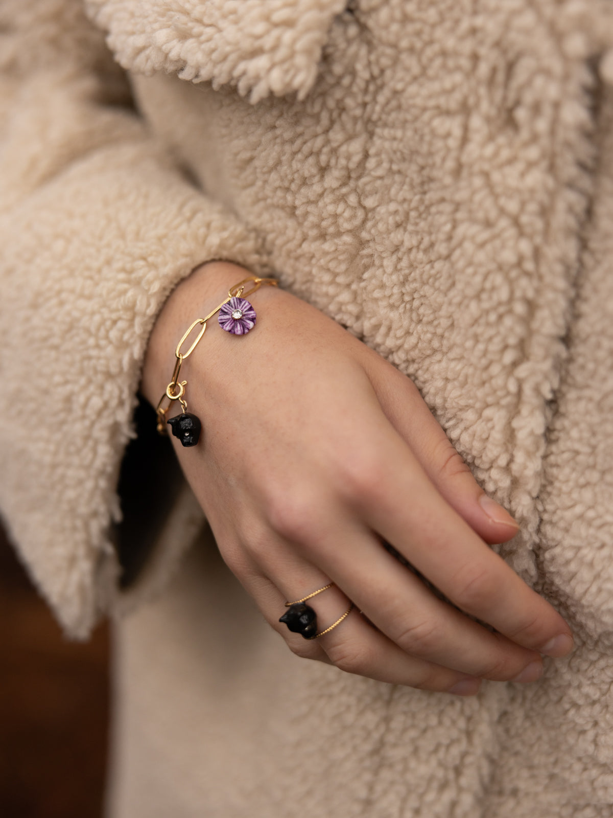 Charm's aster violet