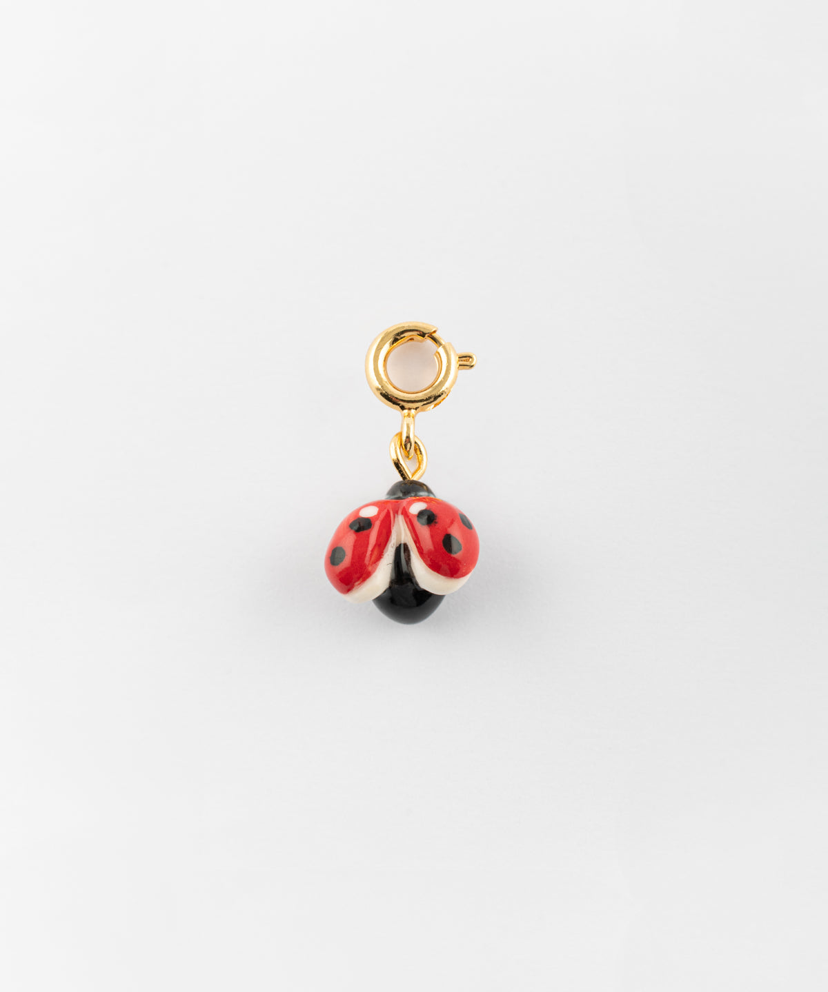 Charm's coccinelle - Lucky you