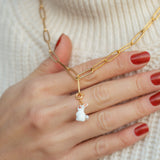 Charm's lapin