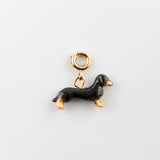 Charm's - Le Teckel