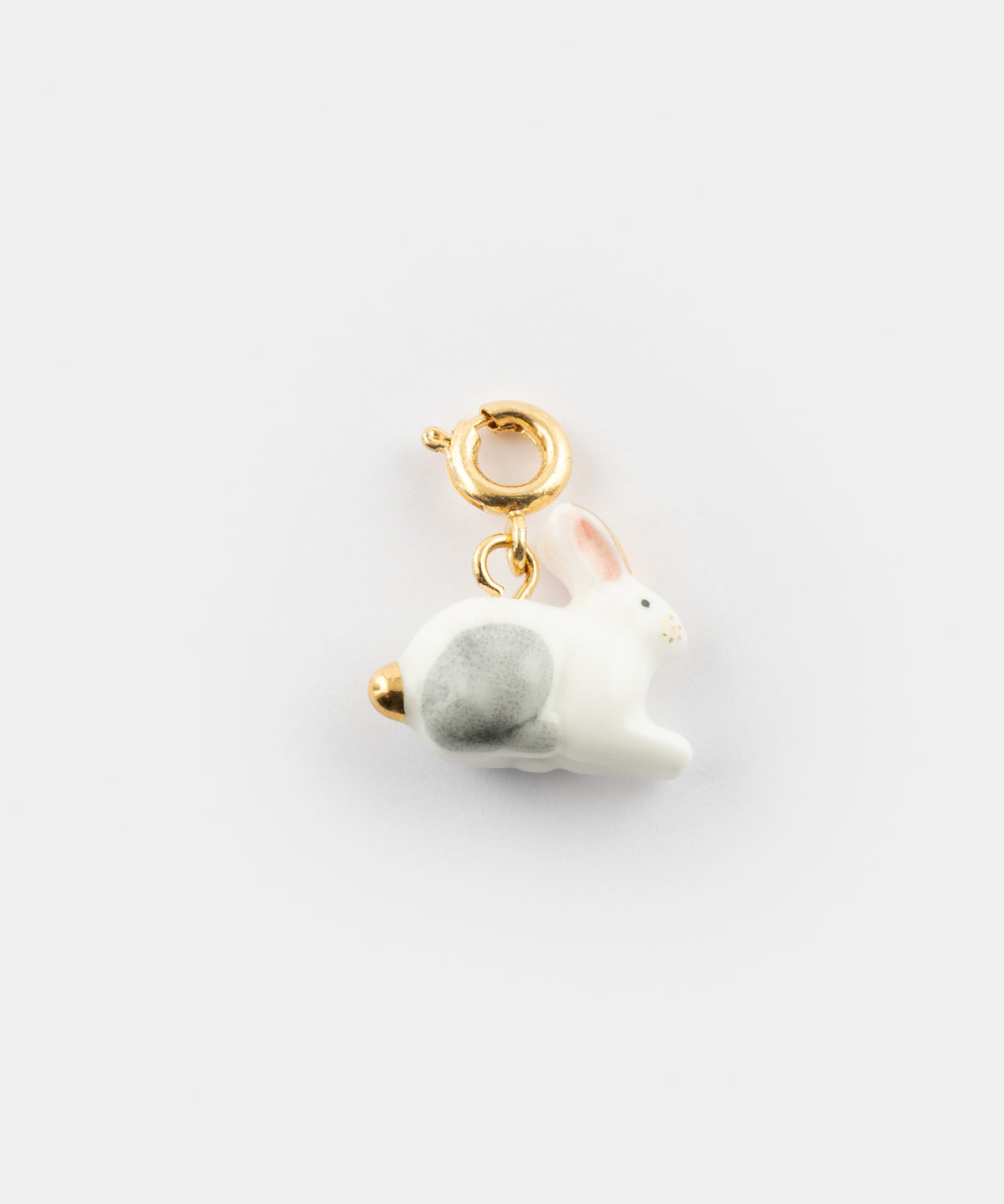 Charm's lièvre polaire - Arctique