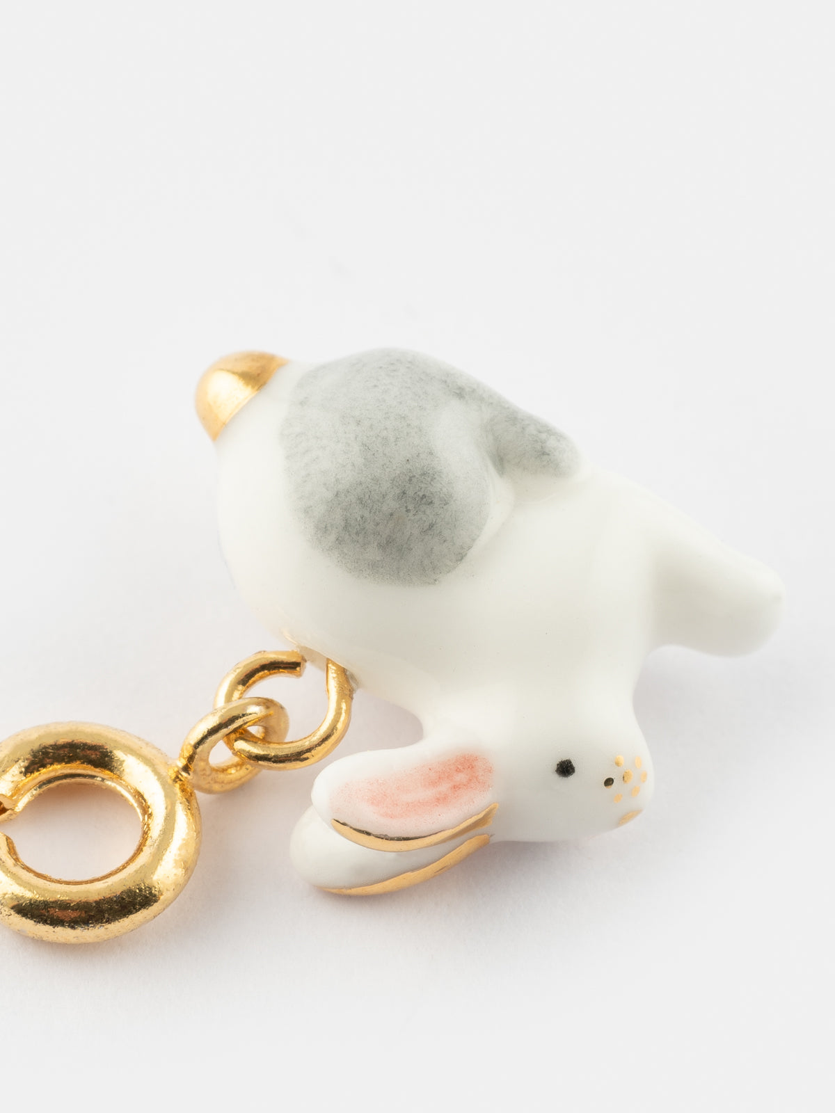 Charm's lièvre polaire - Arctique