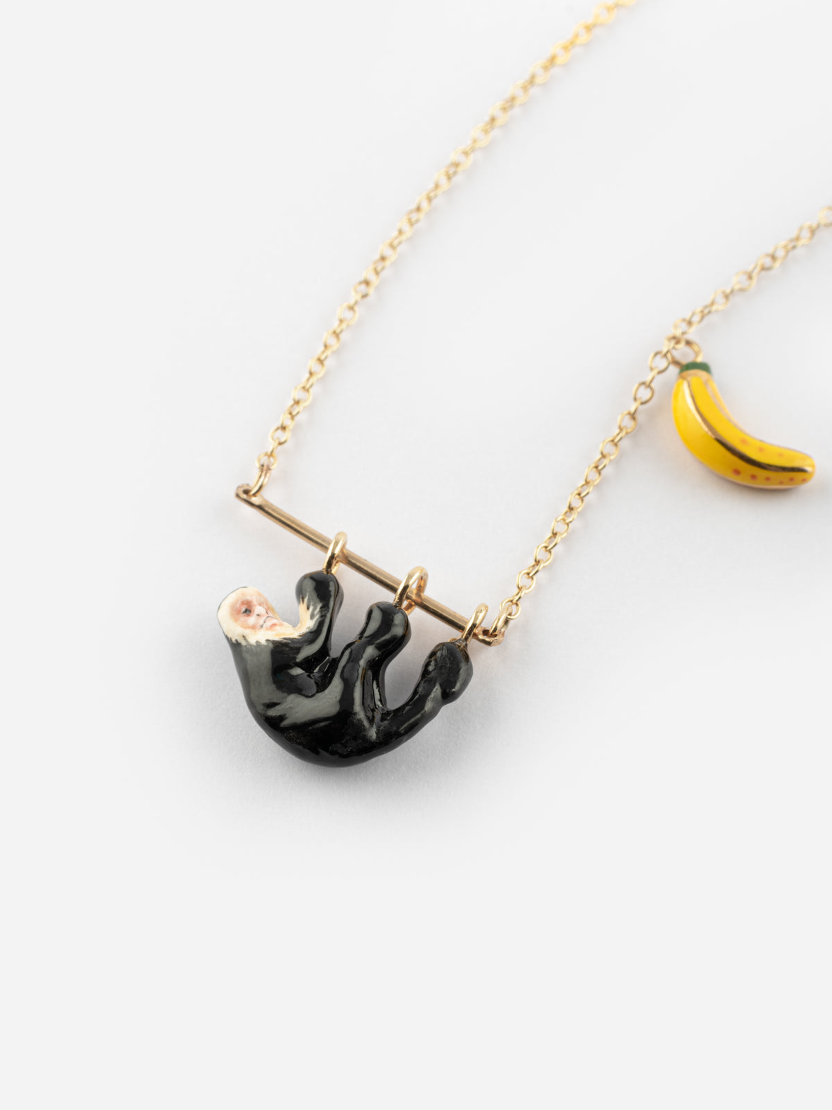 Collier capucin sur branche