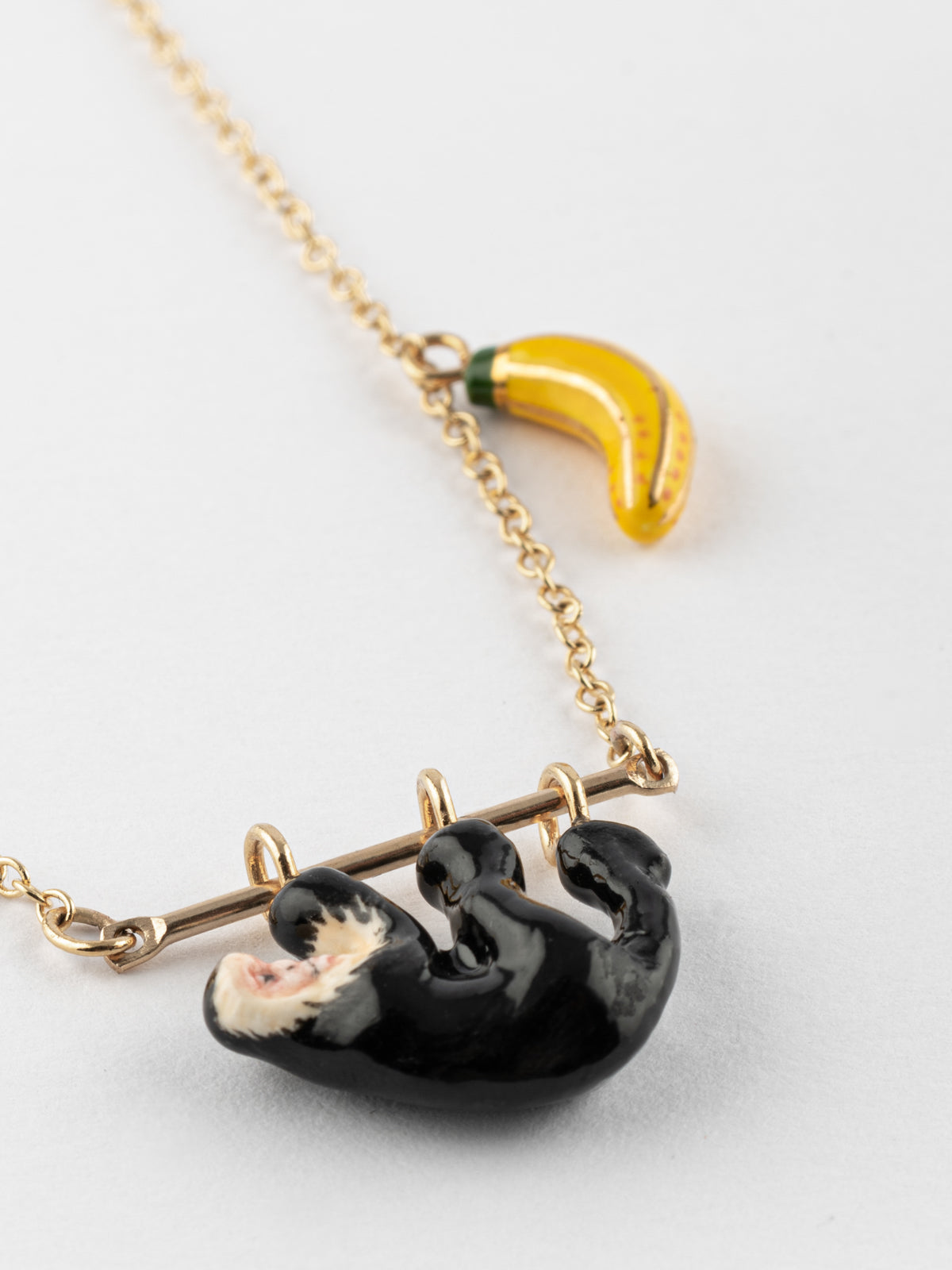 Collier capucin sur branche