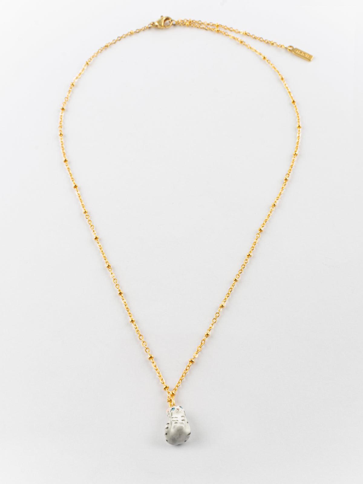 Collier chaton tabby