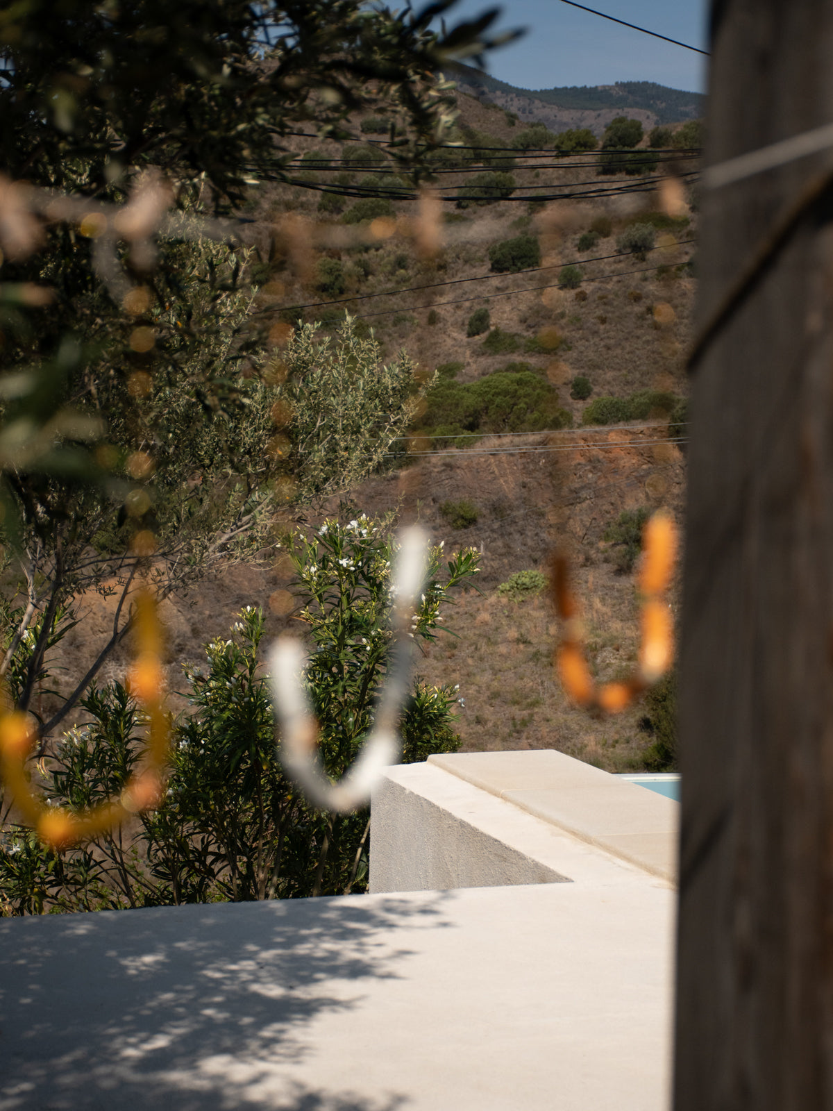 Collier coquillages & perles blanches