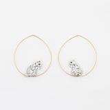 Créoles chat tabby assis