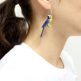 Créoles perroquet bleu