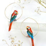 Red parrot creoles