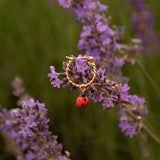 mini créole dorée coccinelle nach