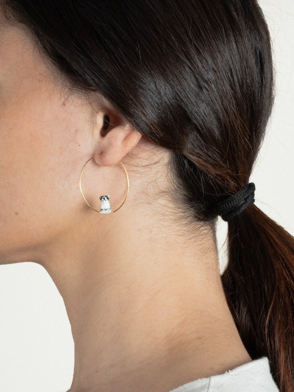 créoles bouledogue français