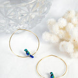 Petites créoles oiseau
