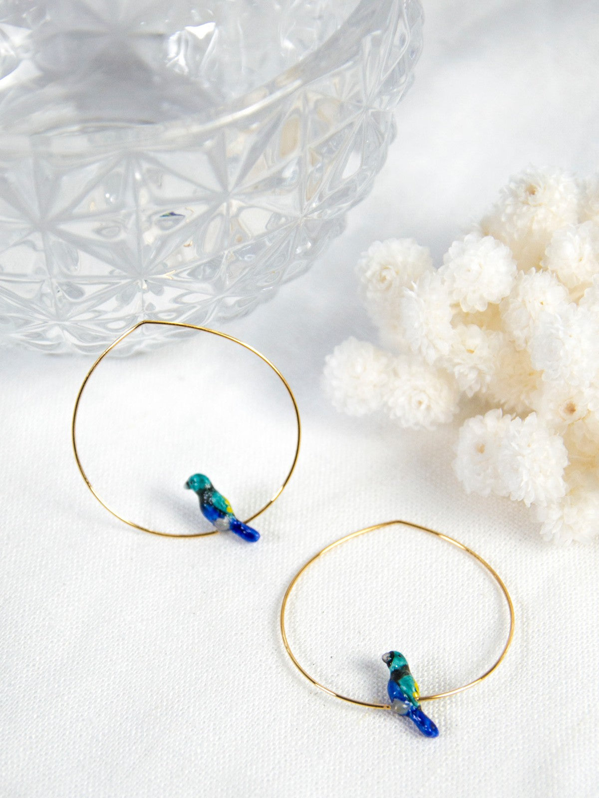 Petites créoles oiseau