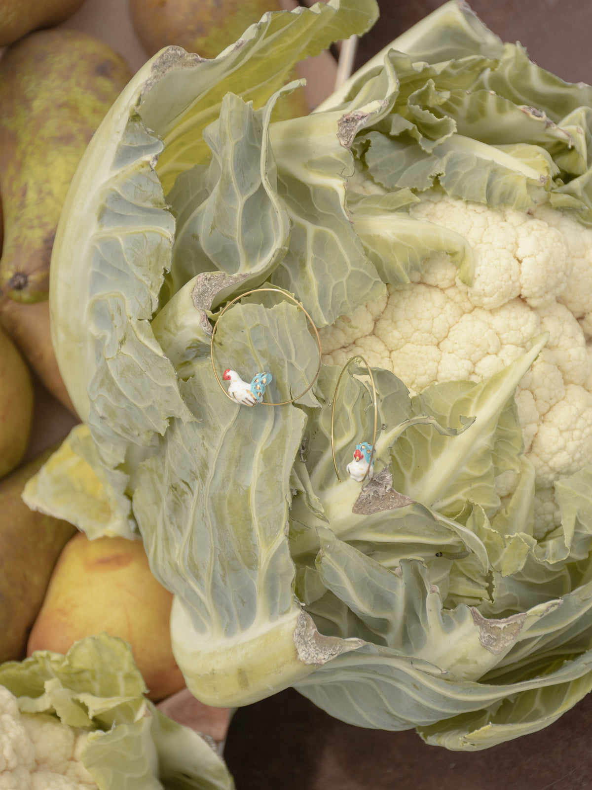 Petites créoles poule