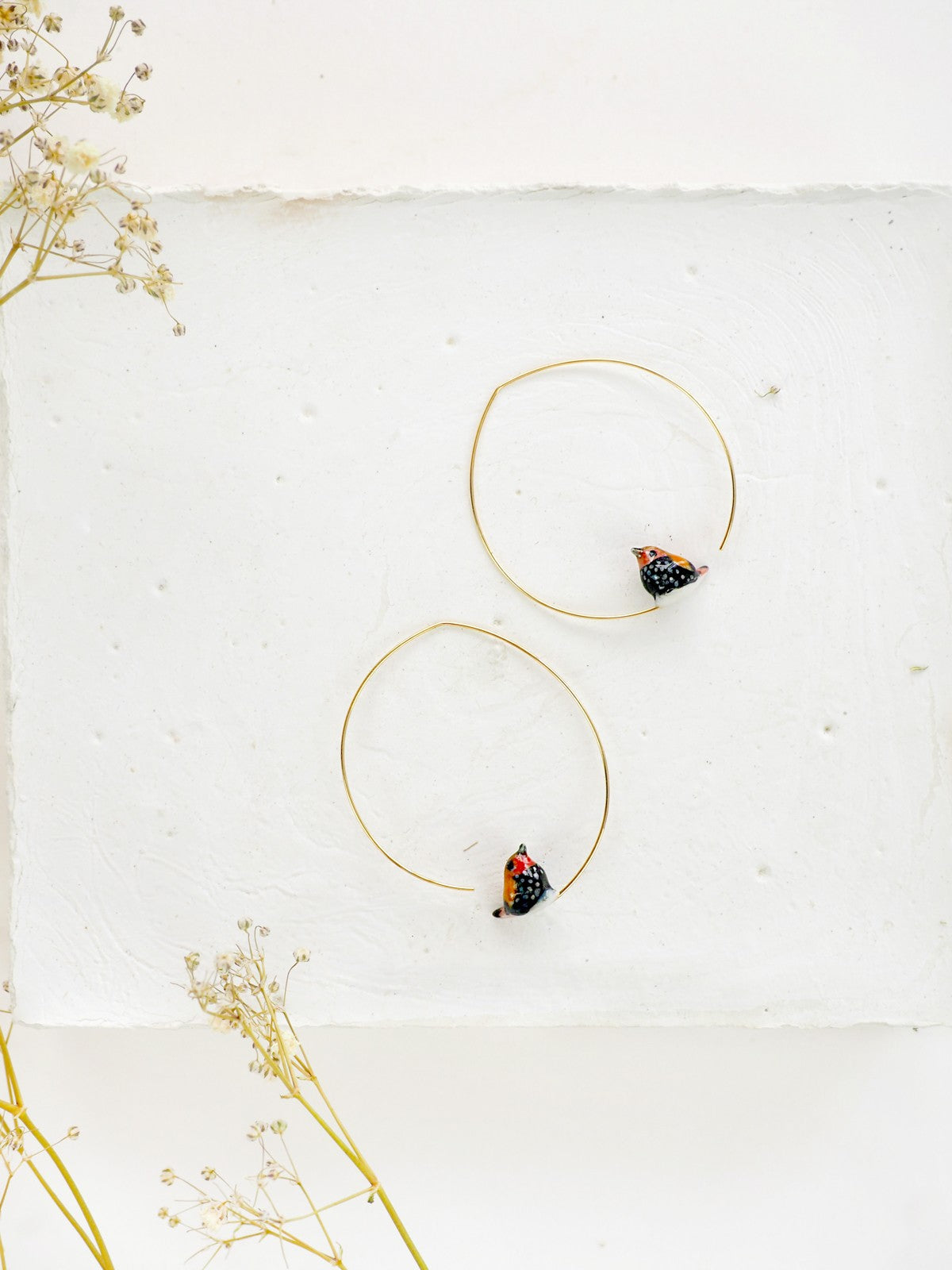 Petites créoles Sénégali de Verreaux