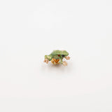 bijou pin's animal grenouille peint à la main en porcelaine