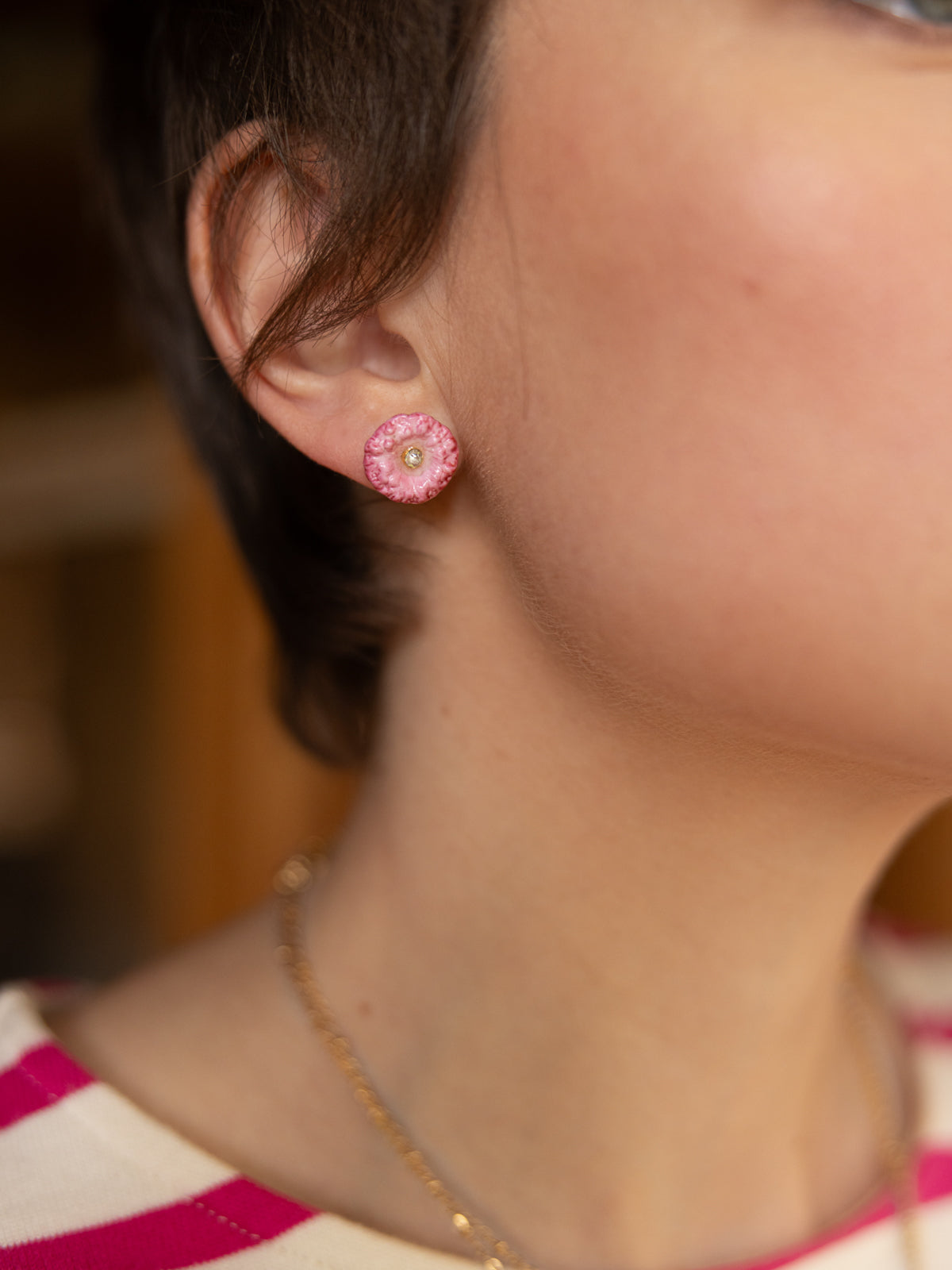 Puces d'oreilles chardon