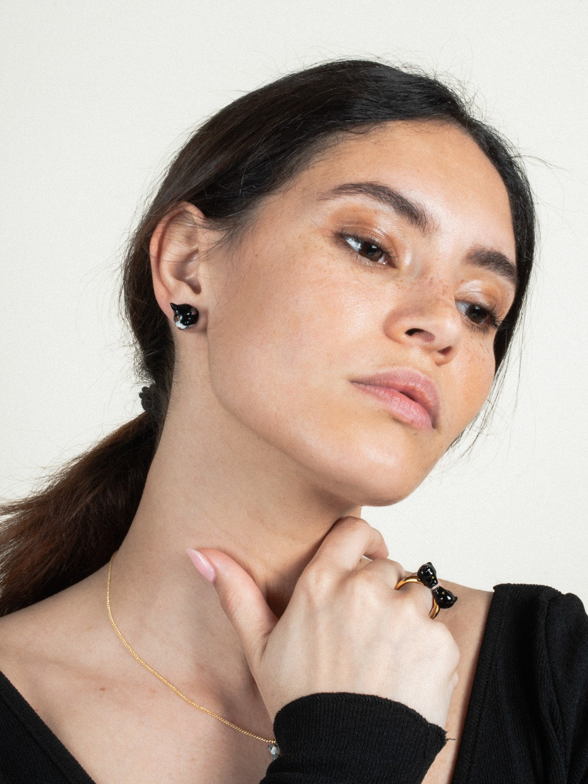 Puces d'oreilles chat