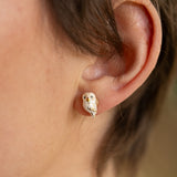 Puces d'oreilles chouette blanche
