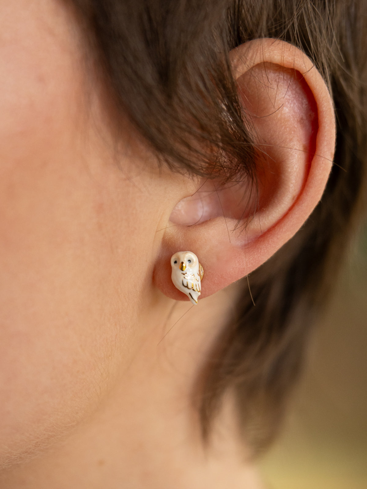 Puces d'oreilles chouette blanche