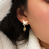 Puces d'oreilles ours polaire - Arctique