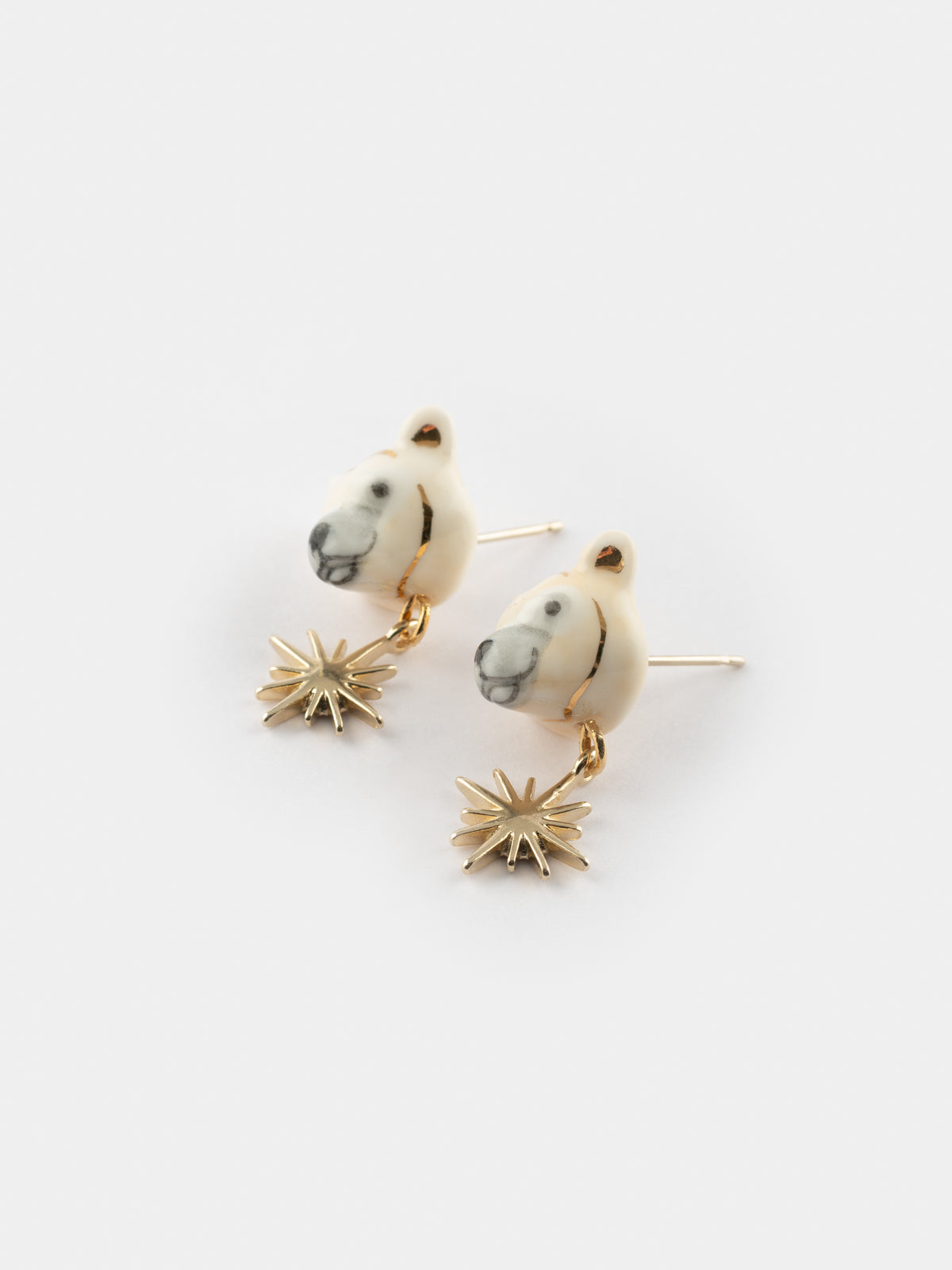 Puces d'oreilles ours polaire - Arctique