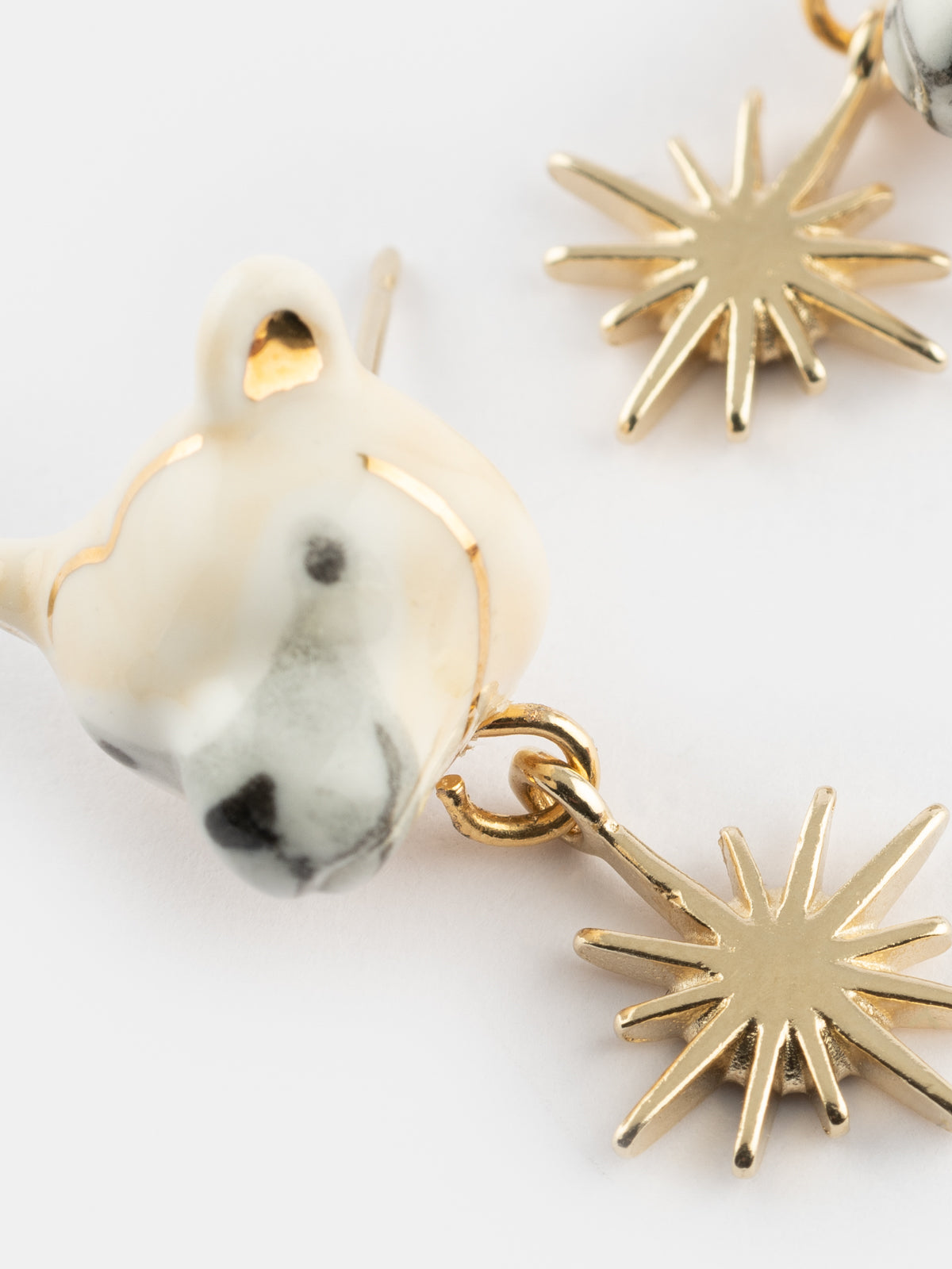 Puces d'oreilles ours polaire - Arctique
