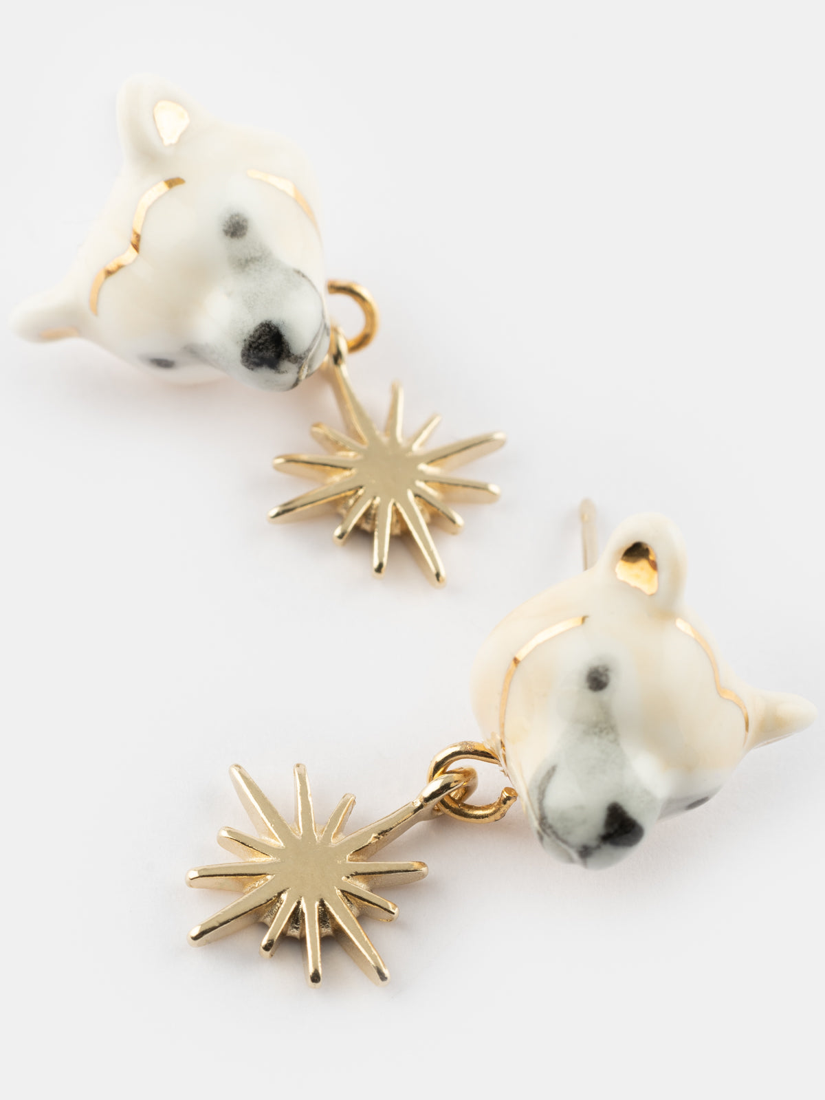 Puces d'oreilles ours polaire - Arctique