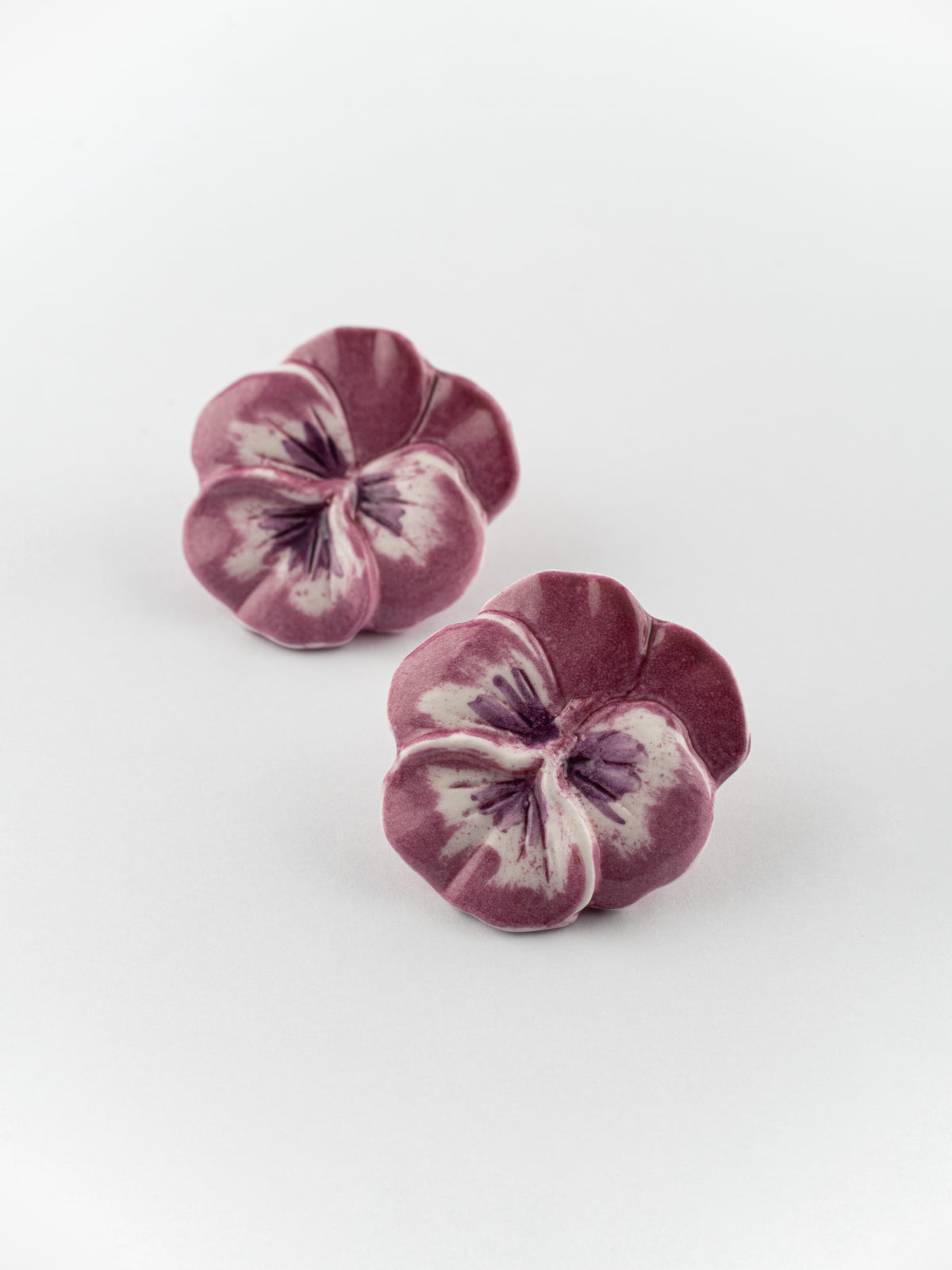 Puces d'oreilles pensée