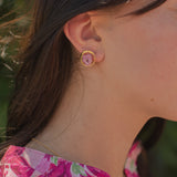 Puces d'oreilles rondes pensée
